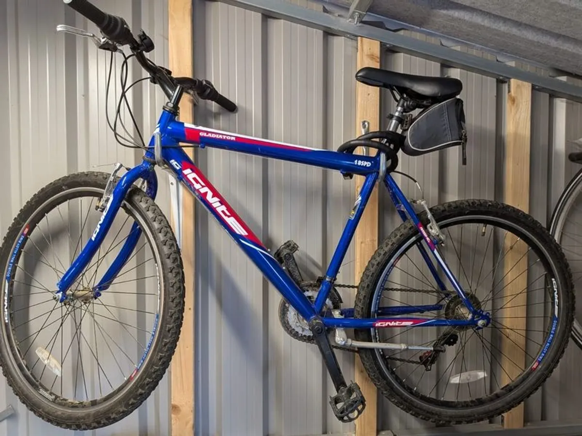 Mens mountain bike - Image 1