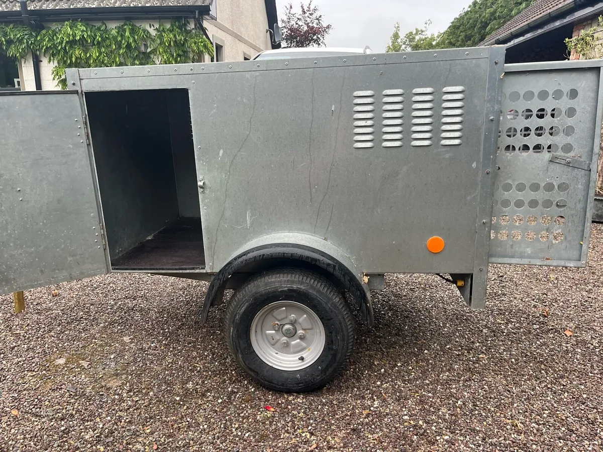 Box Trailer for Dogs - Image 1