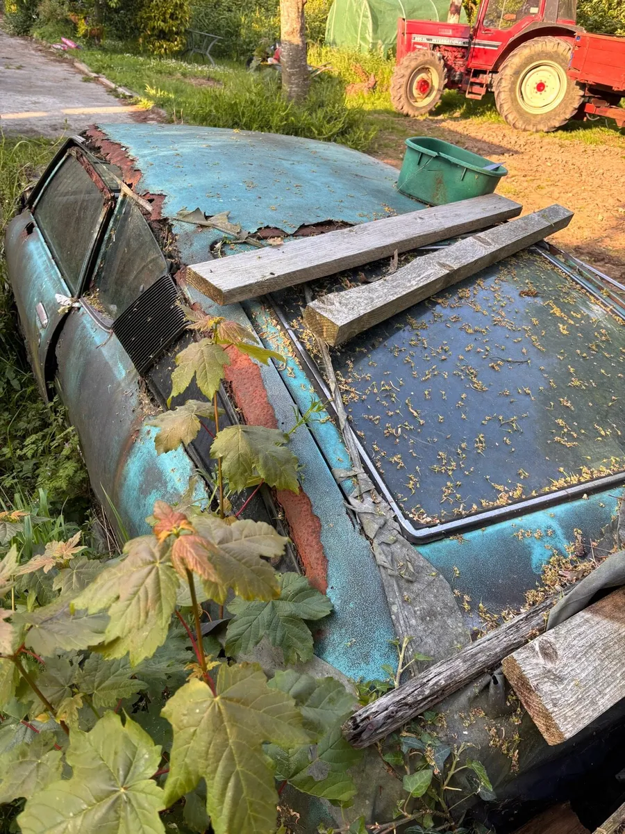 Datsun 120y for parts - Image 2