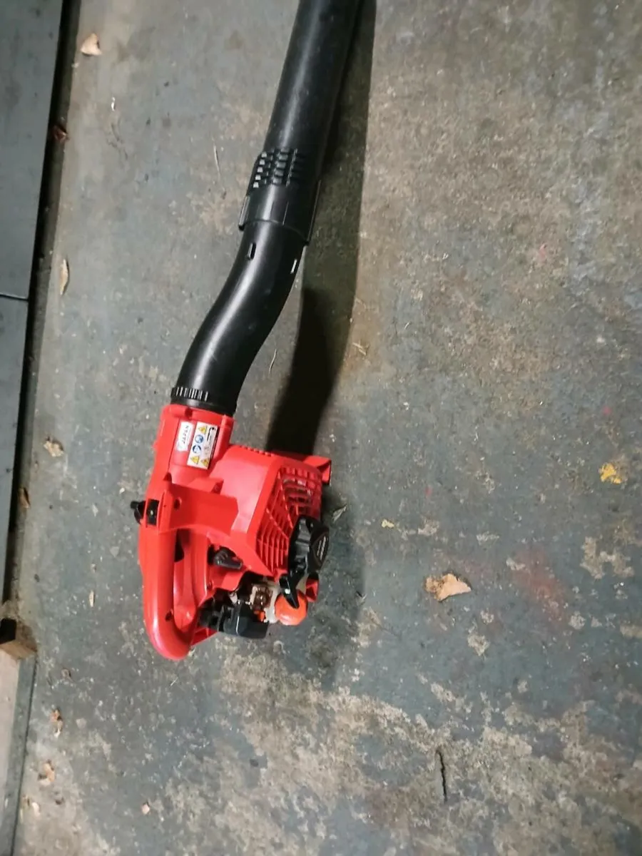 Echo Leaf Blower - Image 4