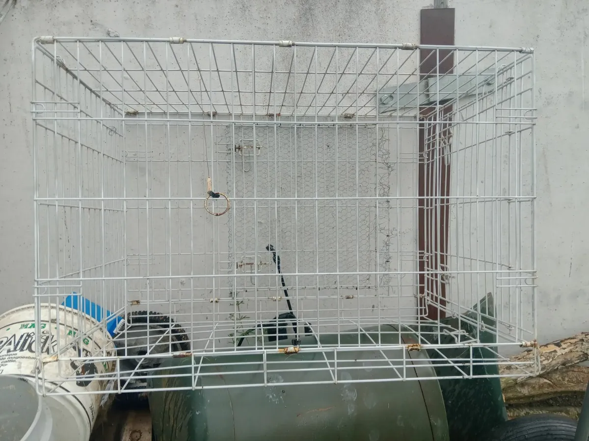 Cage - Image 2