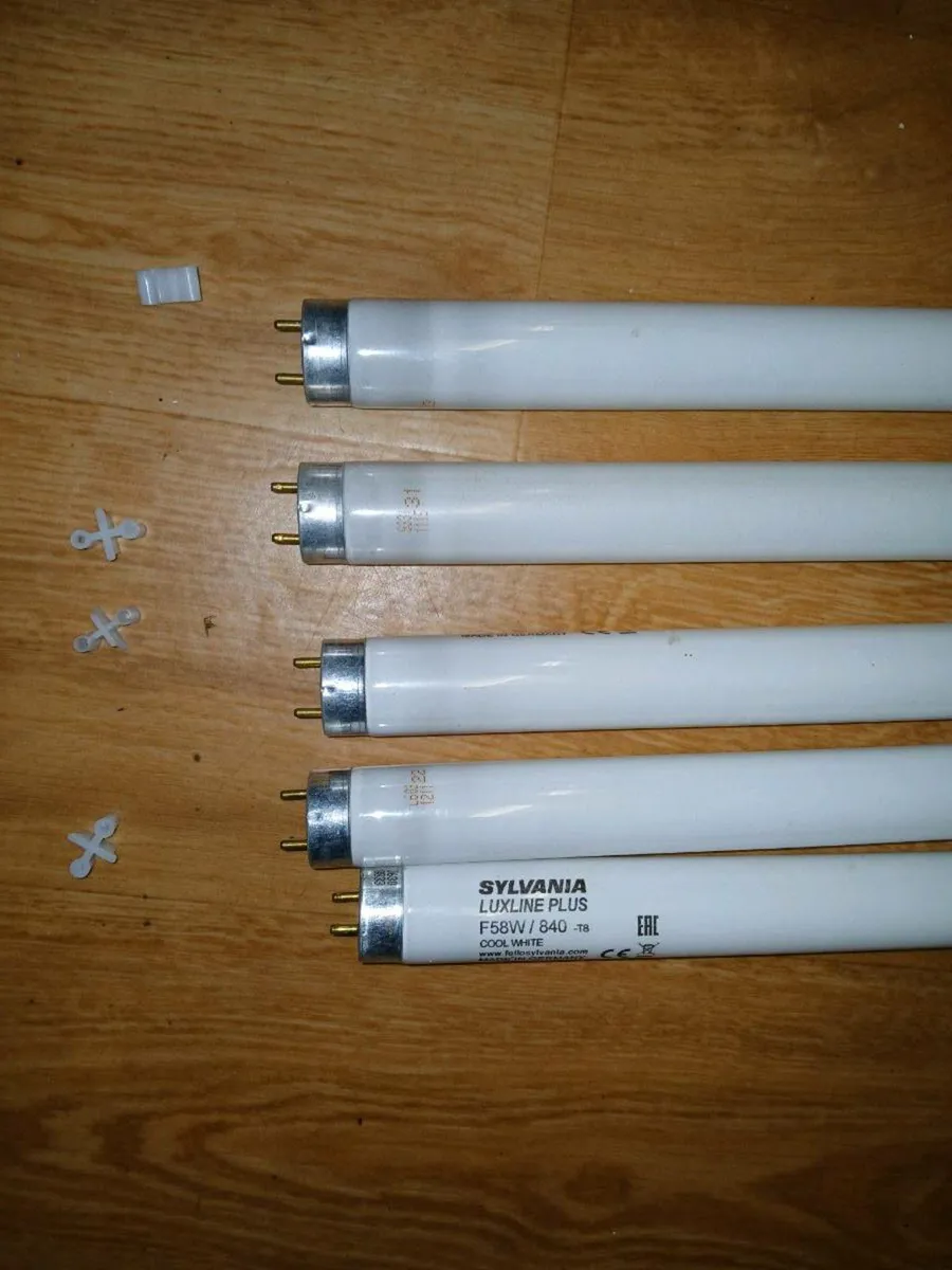 Six fluorescent tubes, 5 feet, only 50 cents each - Image 3