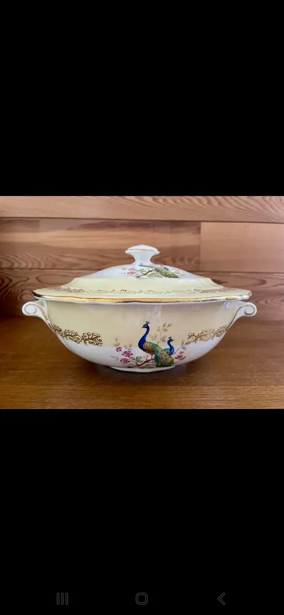 Soup tureen