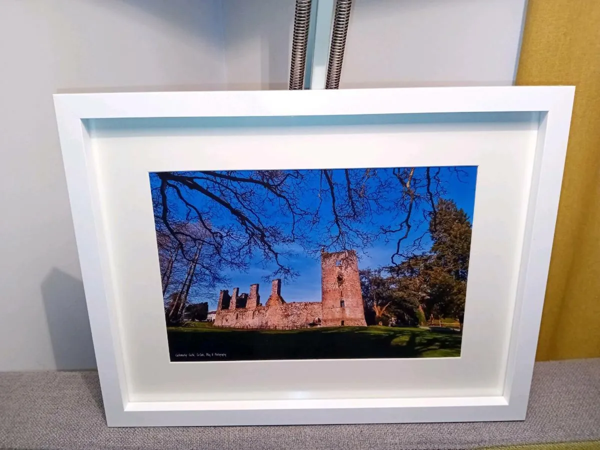 Castlemartyr Castle and Gardens - Image 1