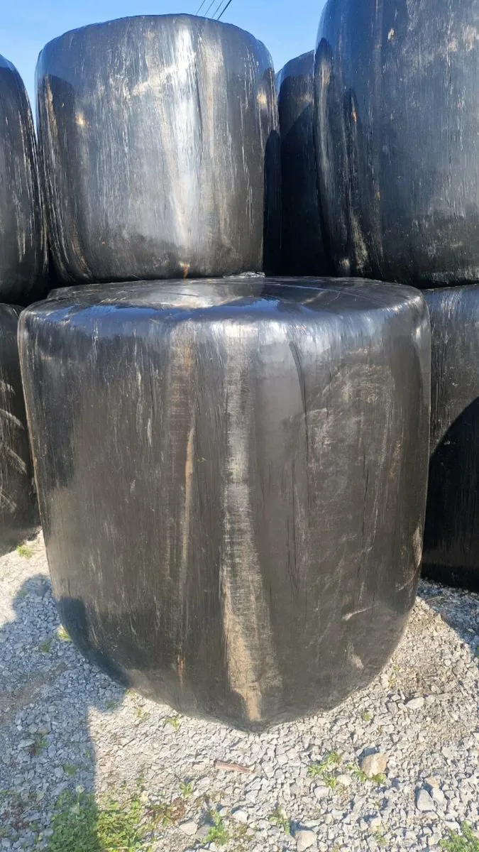 Bales of Silage - Image 2