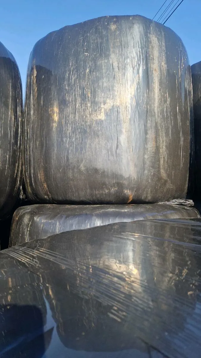 Bales of Silage - Image 3