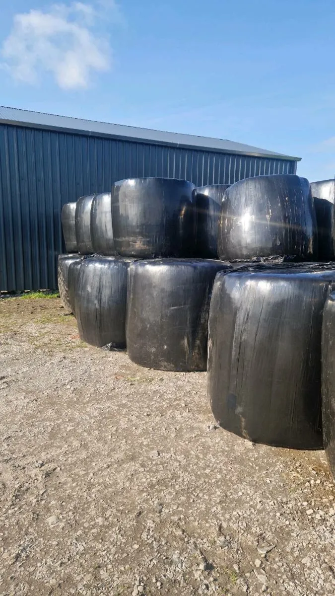 Bales of Silage - Image 1