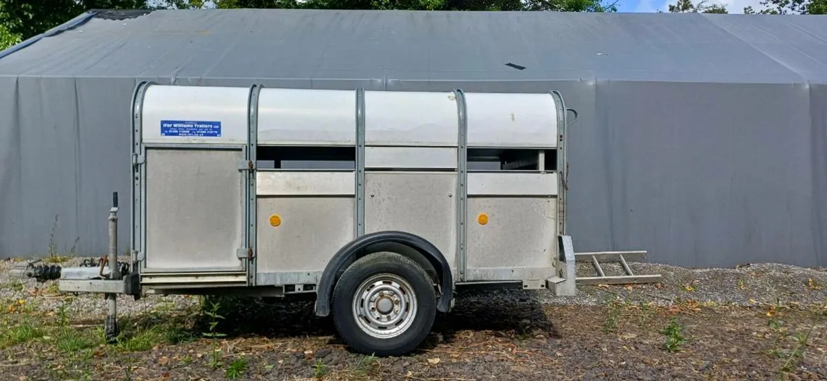 8x4 Ifor Williams sheep trailer - Image 1