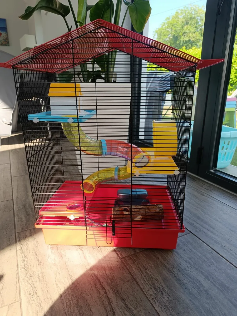 Dwarf Hamster Cage