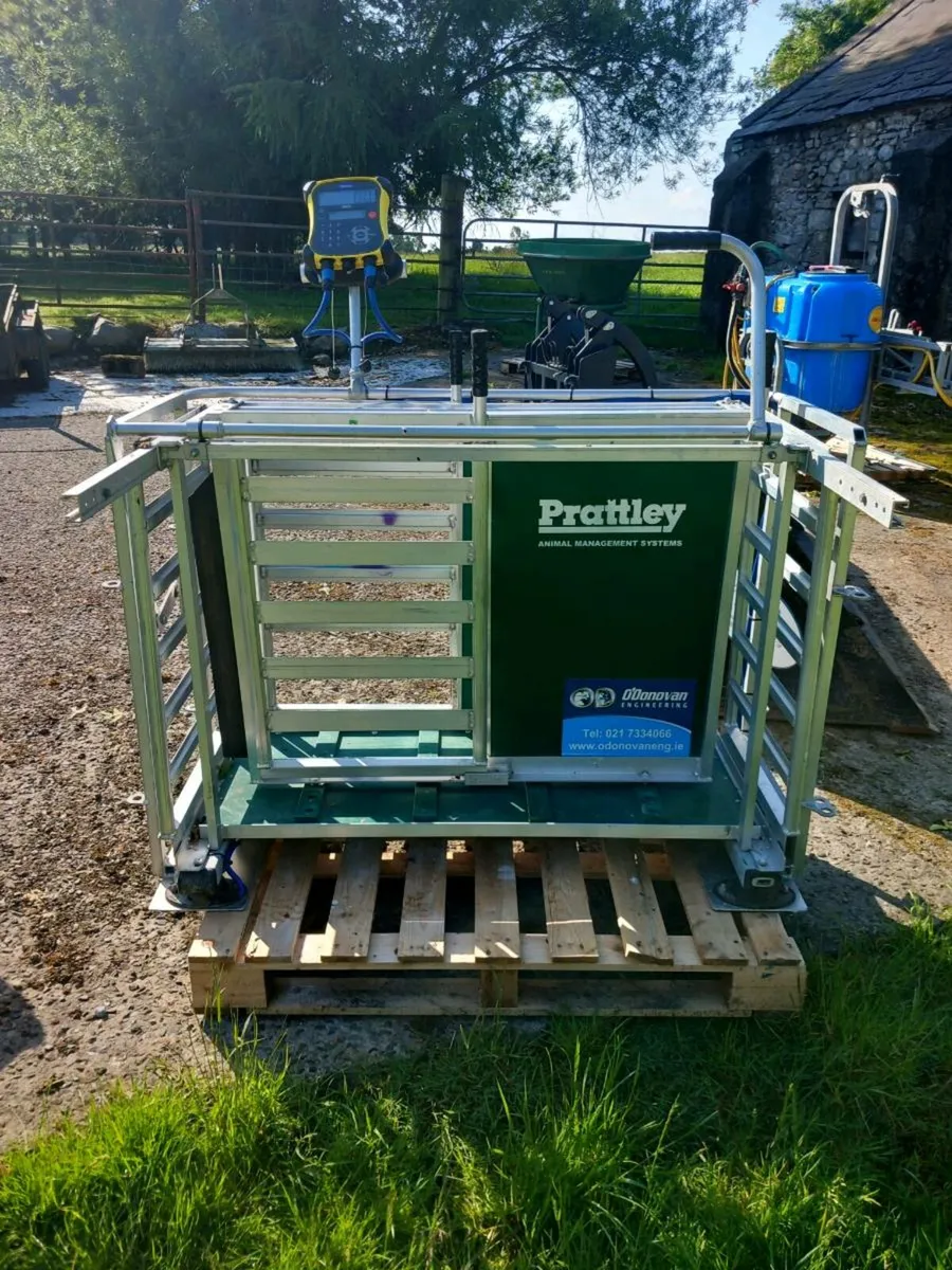 Pratley scales - Image 1