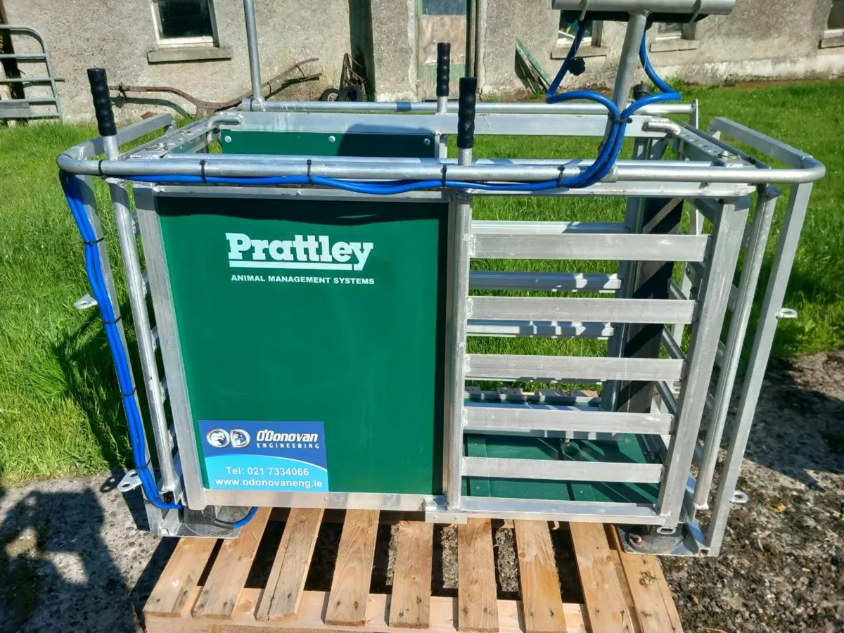 Pratley scales - Image 2