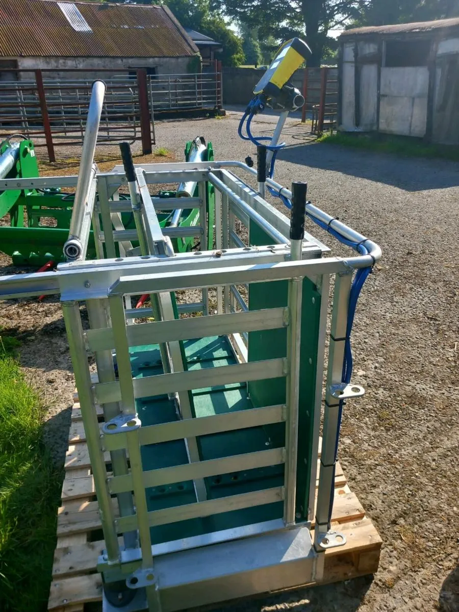 Pratley scales - Image 3