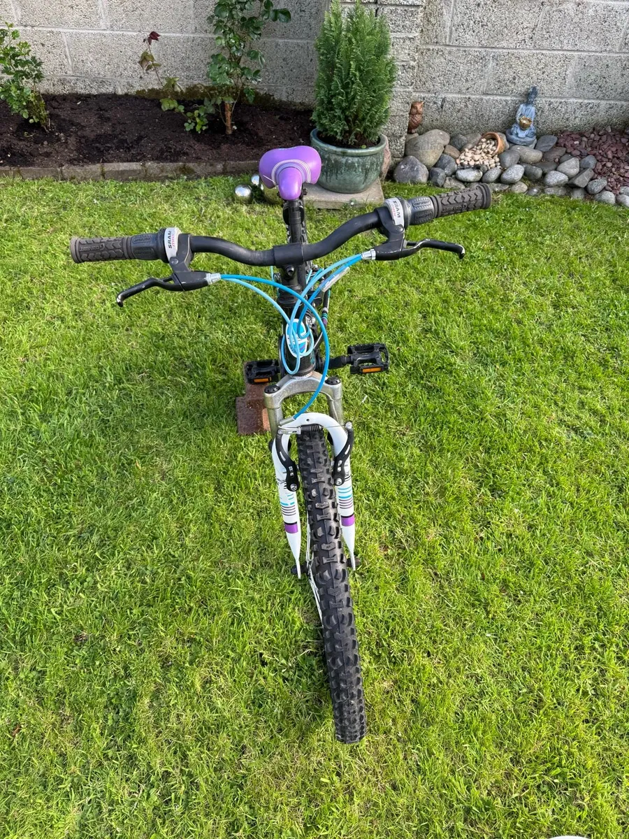 Bike - Image 3