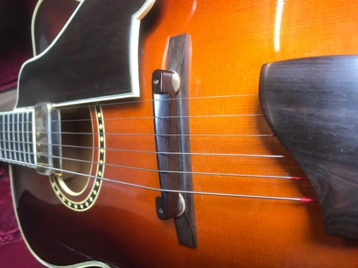 Rare Archtop Guitar Eastman  AR804CE & hard case - Image 2