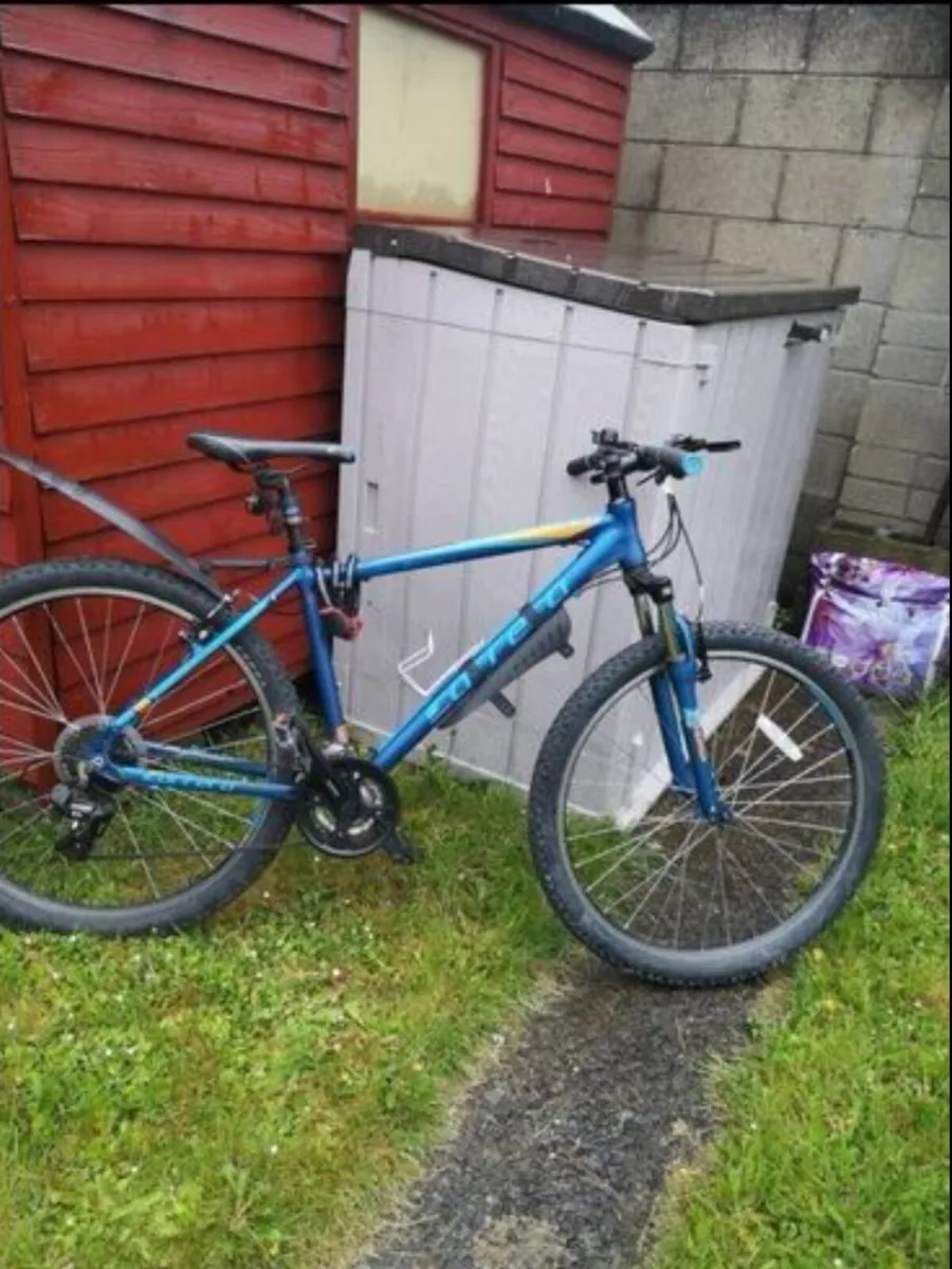 Men’s mountain bike - Image 2