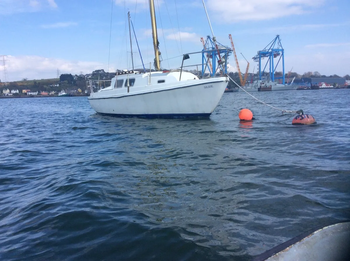 24ft sea master - Image 1