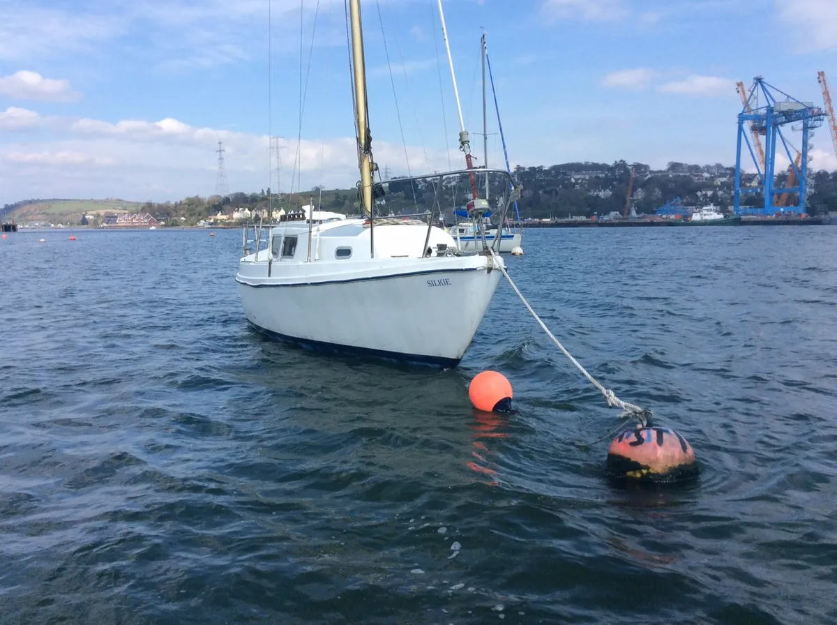 24ft sea master - Image 2