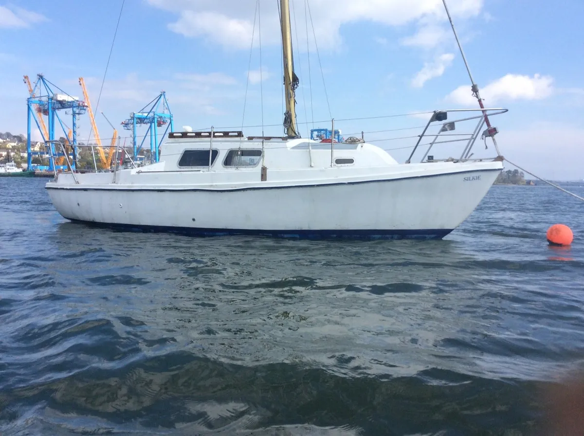 24ft sea master - Image 3