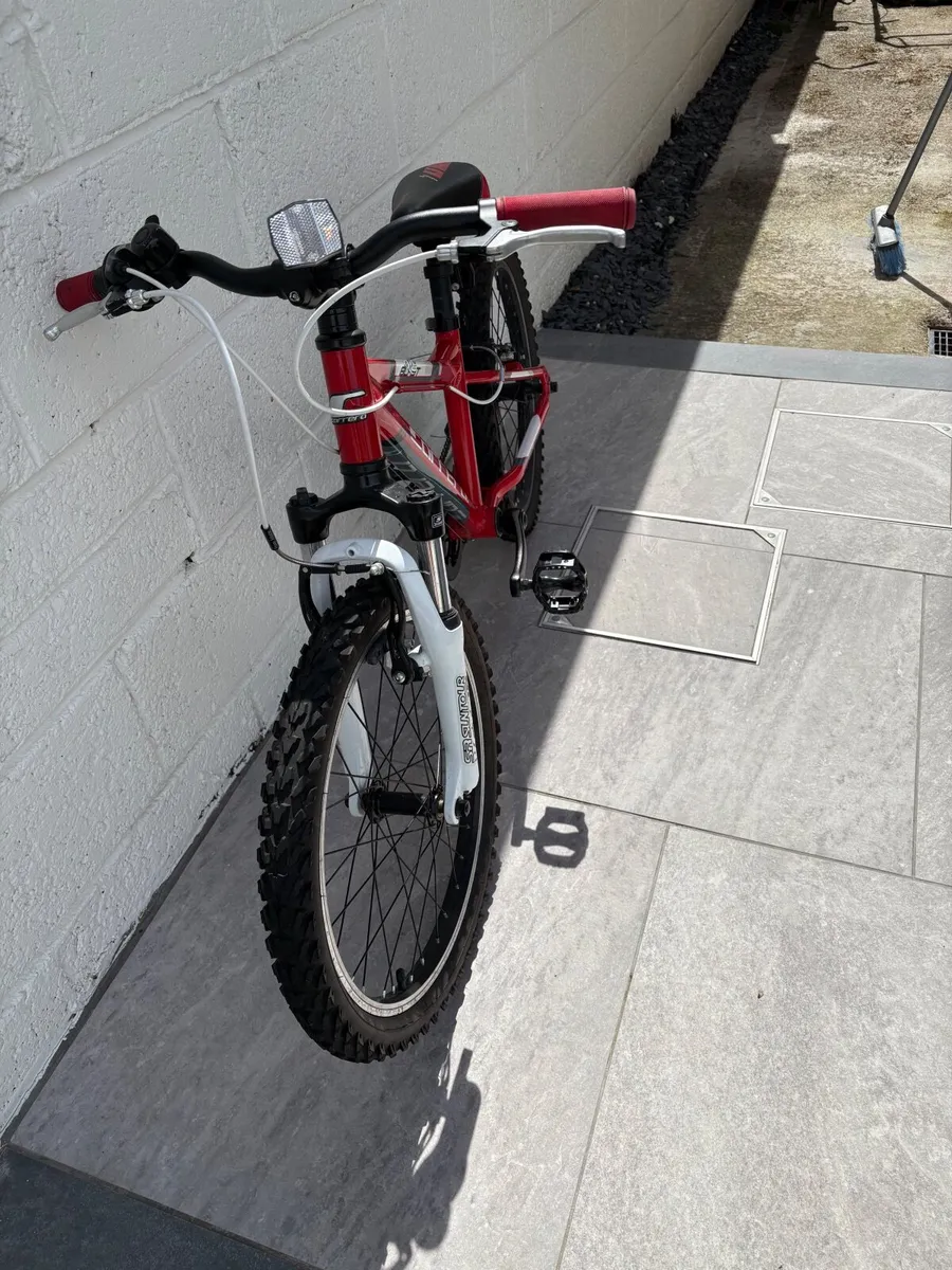Kids Bike Carrera 20” - Image 2