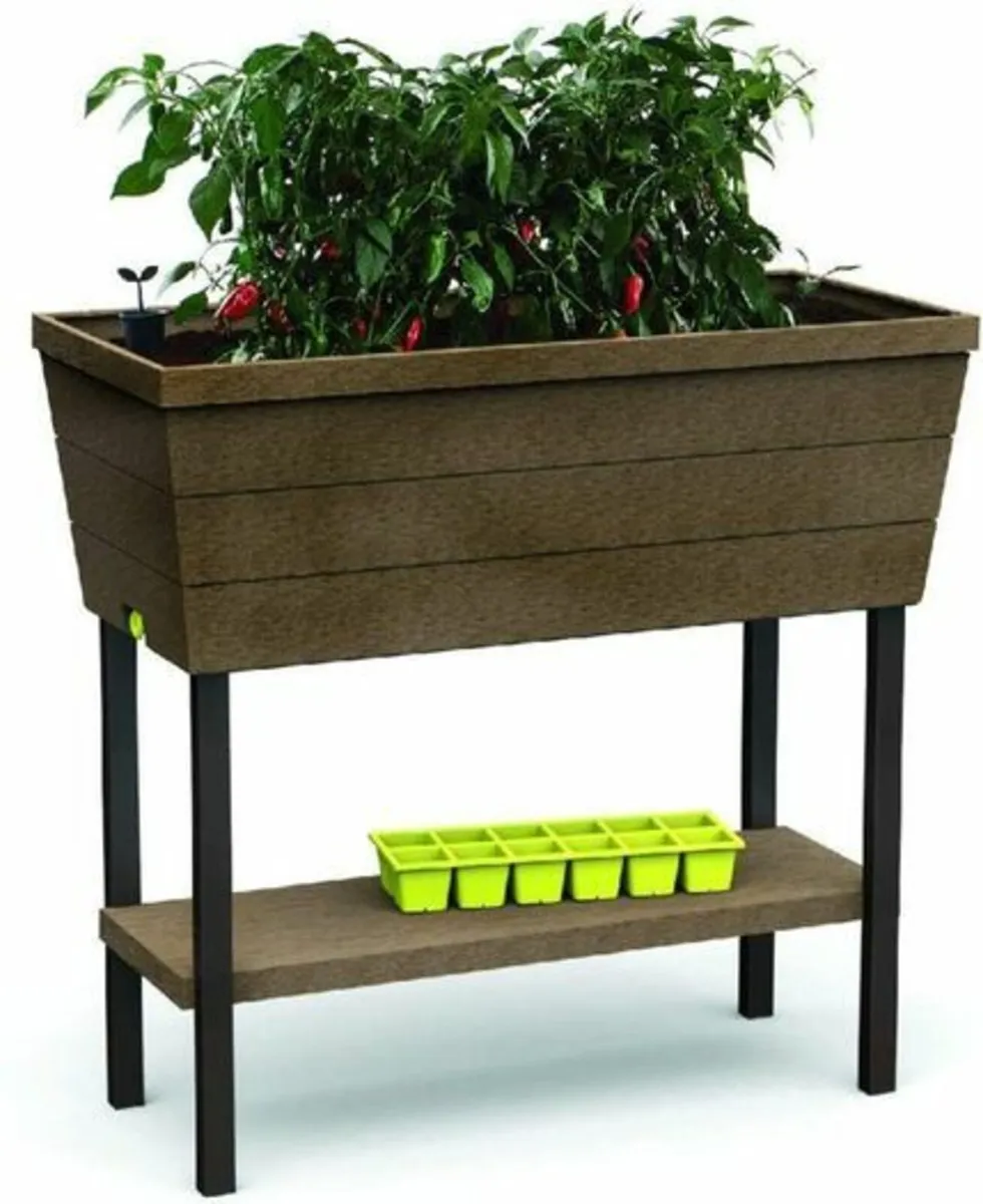 Keter - Mini Home Urban Bloomer with Grow Base, Br - Image 1