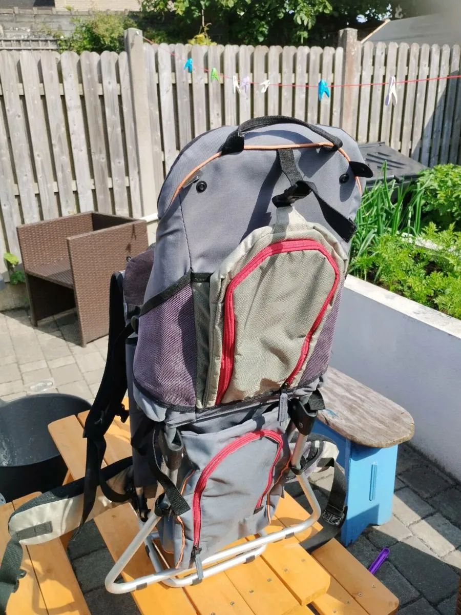 Salewa Child carrier - Image 1