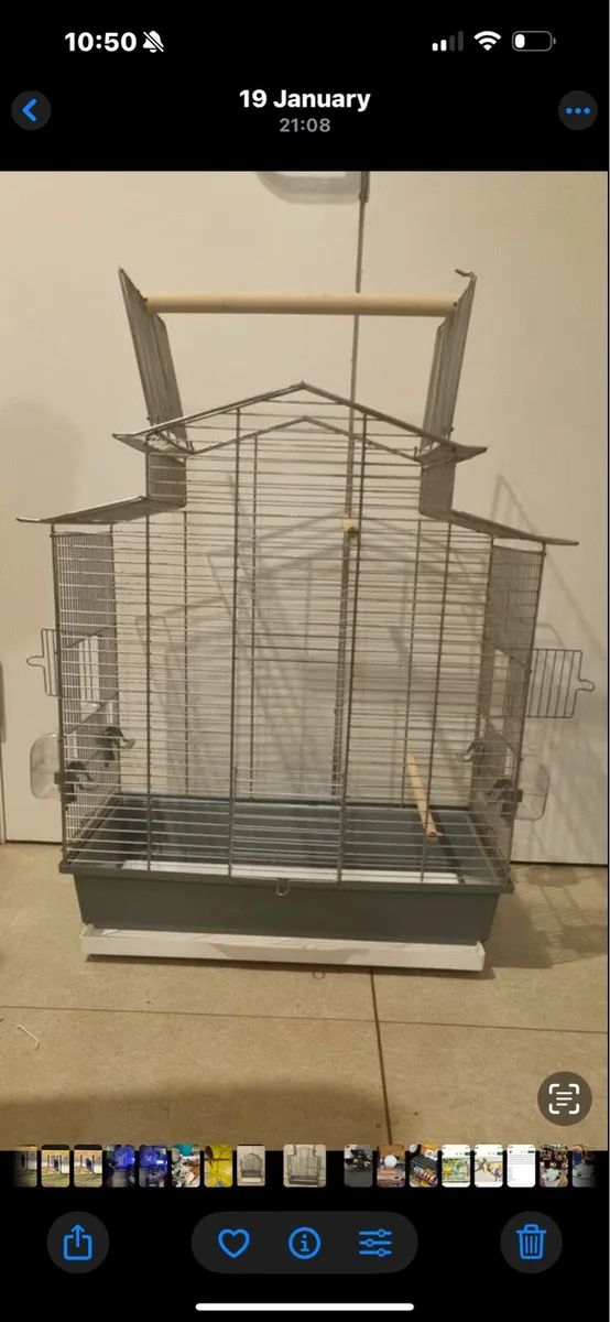 Ringneck - Image 3