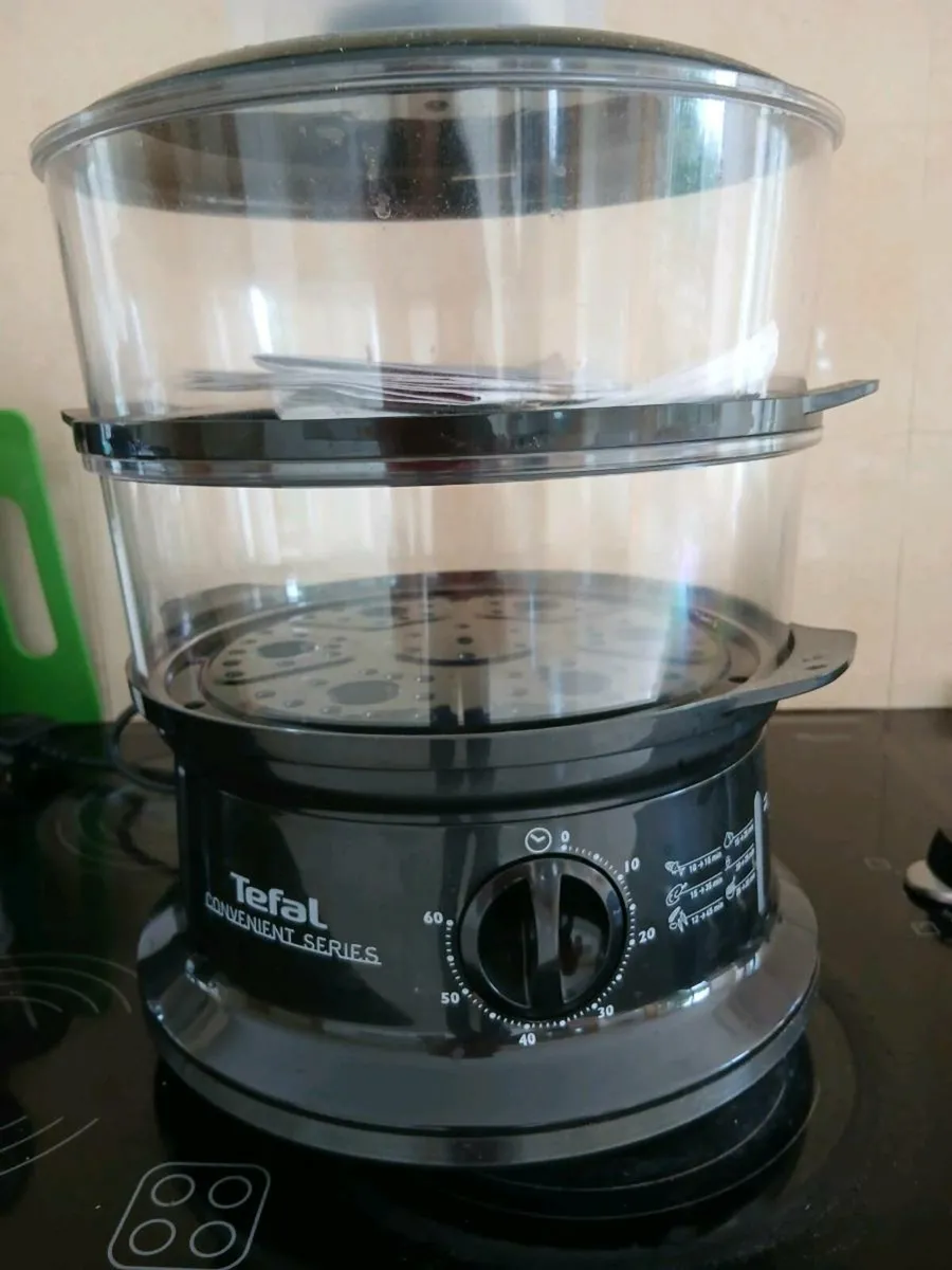 Electric Steamer