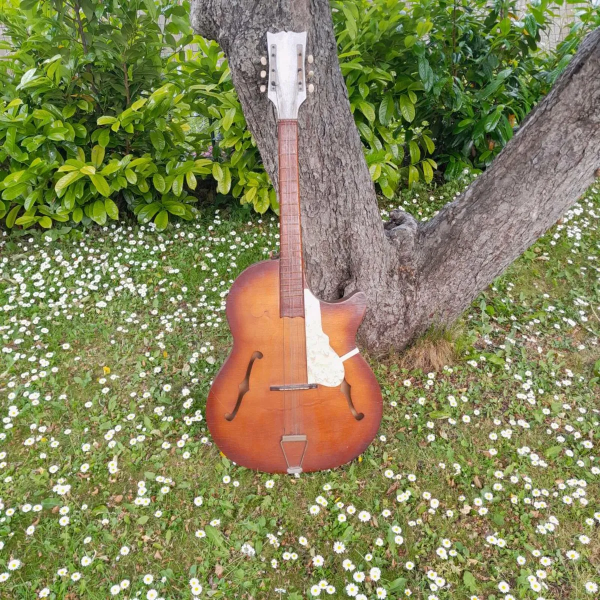 Acoustic Guitar - Image 1