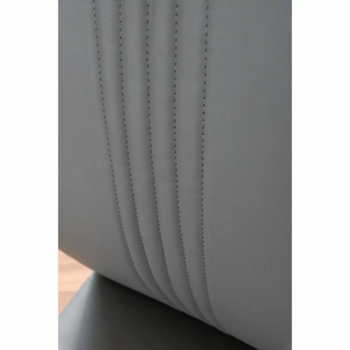 Chowchilla Upholstered Cantilever Chair (Set of 2) - Image 3