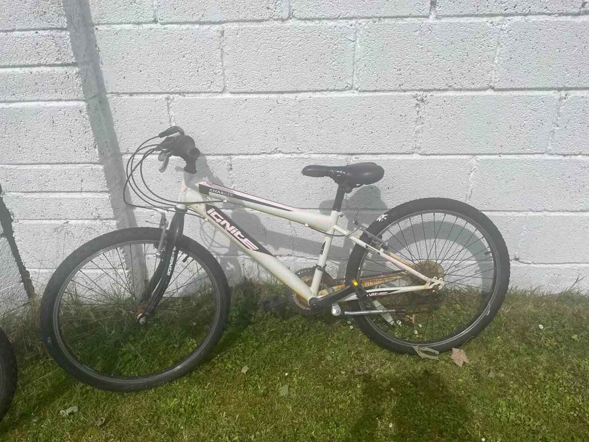 Bicycles - Image 1