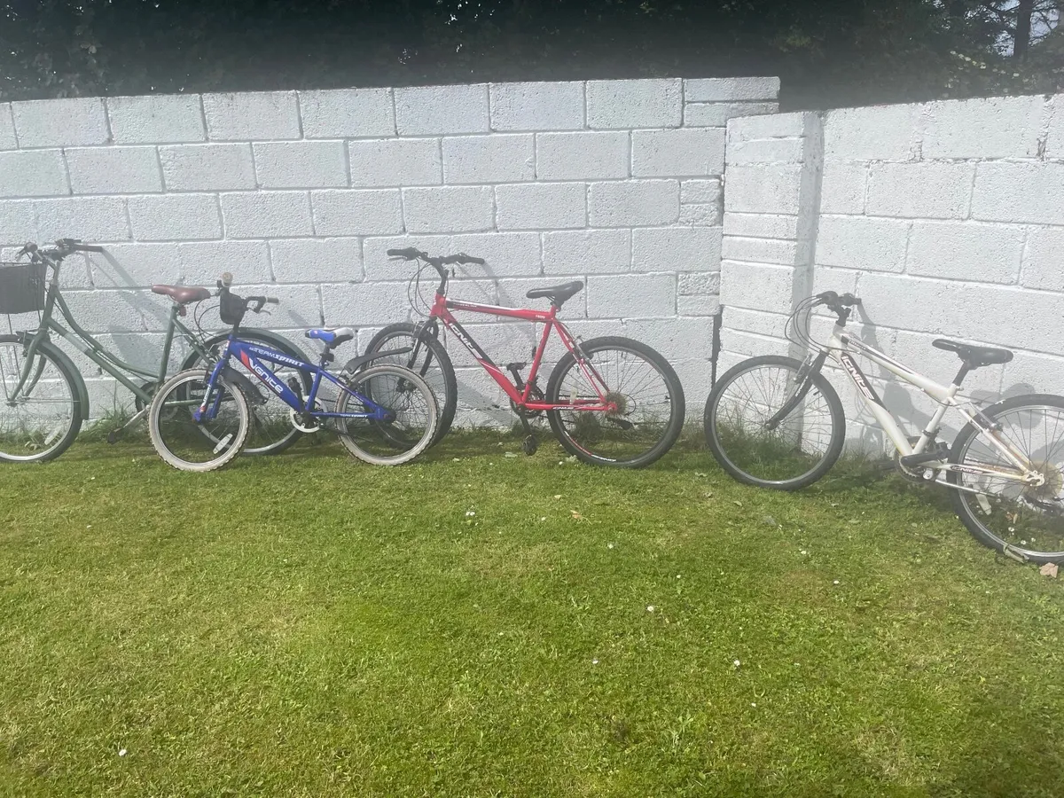 Bicycles - Image 2