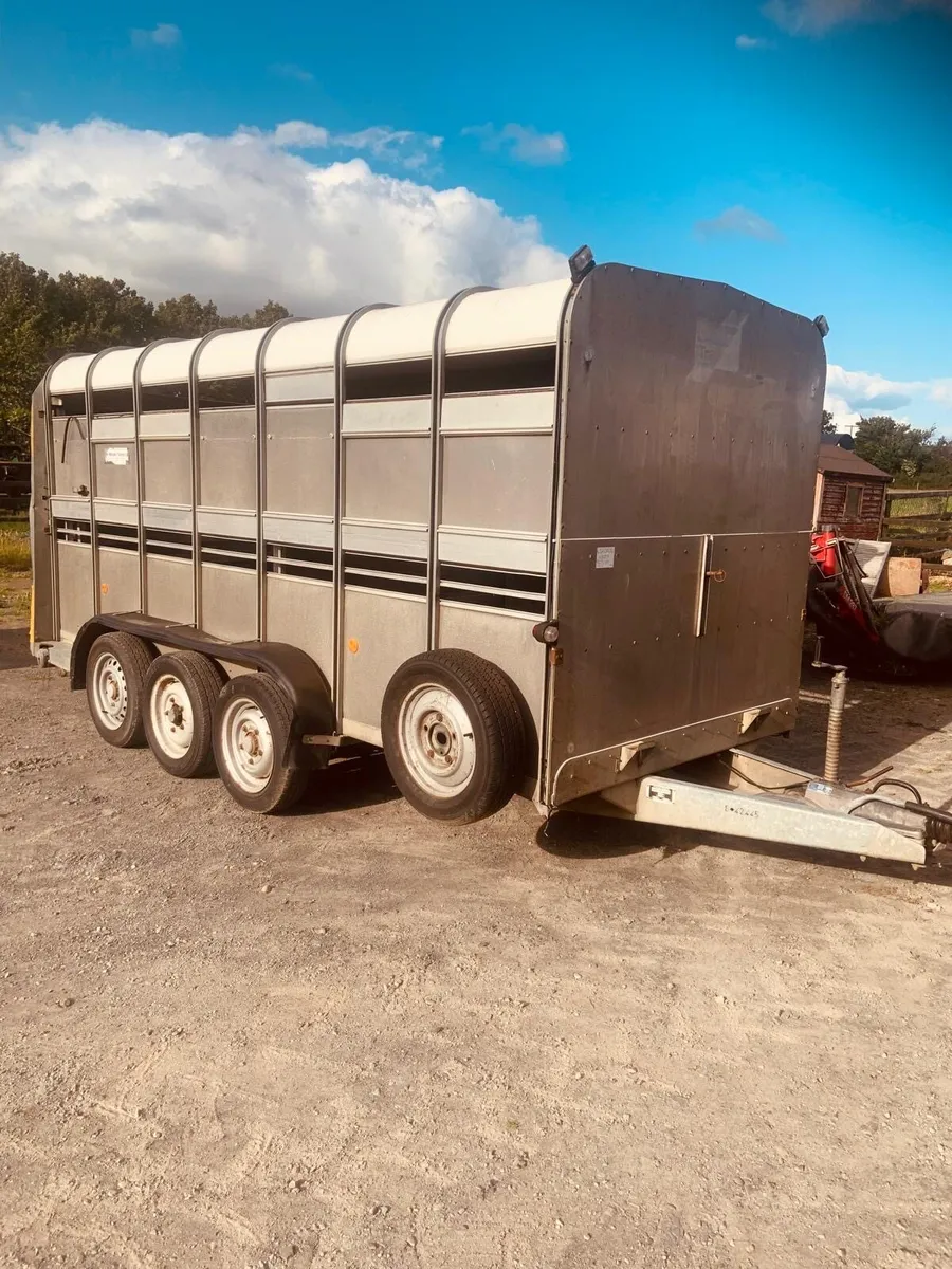 Ifor Williams Trailer - Image 4