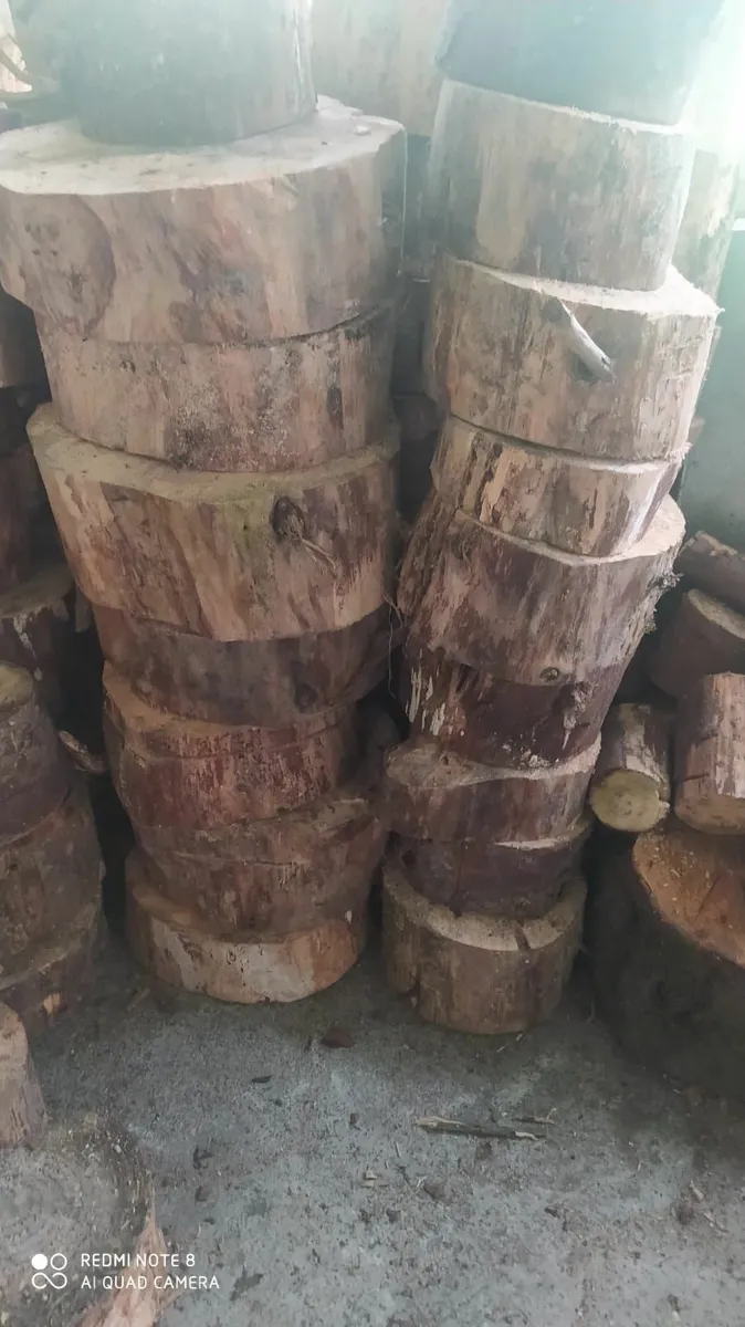 FIRE LOGS - Image 3