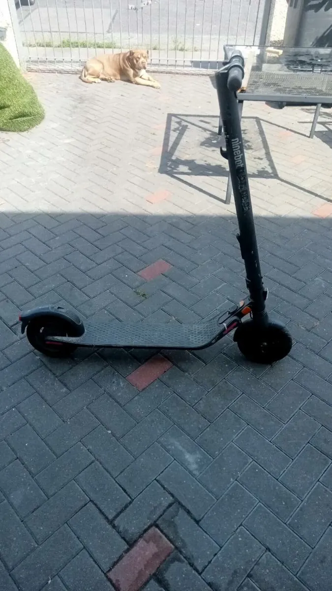 Electric scooter - Image 1