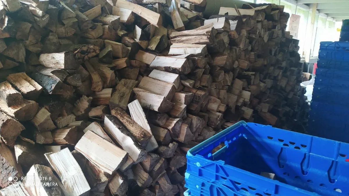 FIRE LOGS, Fire Logs, Wood Logs, Eco Logs, wood - Image 3