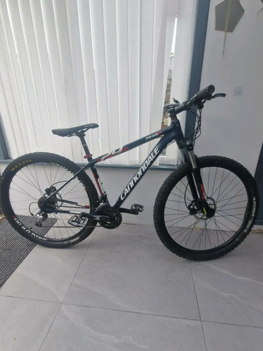 Mountain bike - Image 1