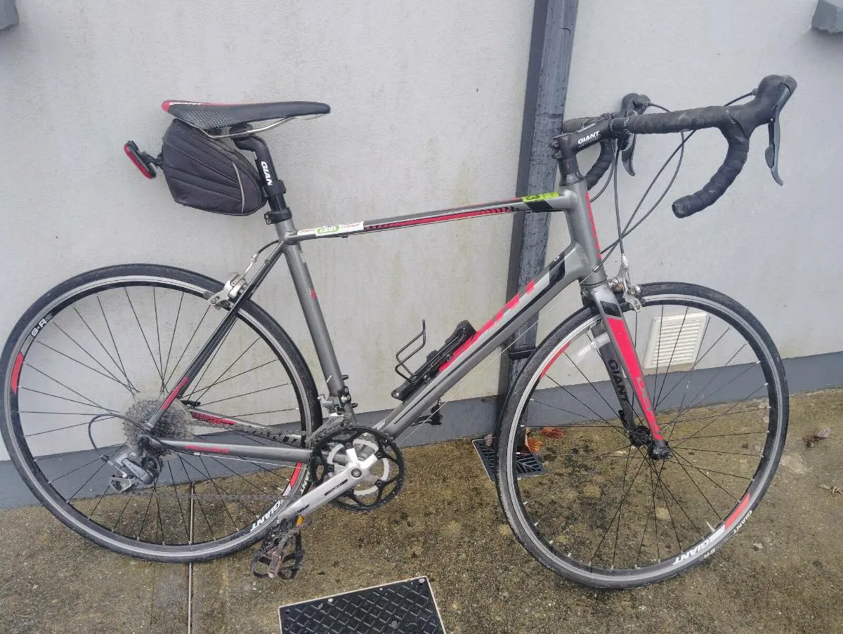 Giant racer - Image 1