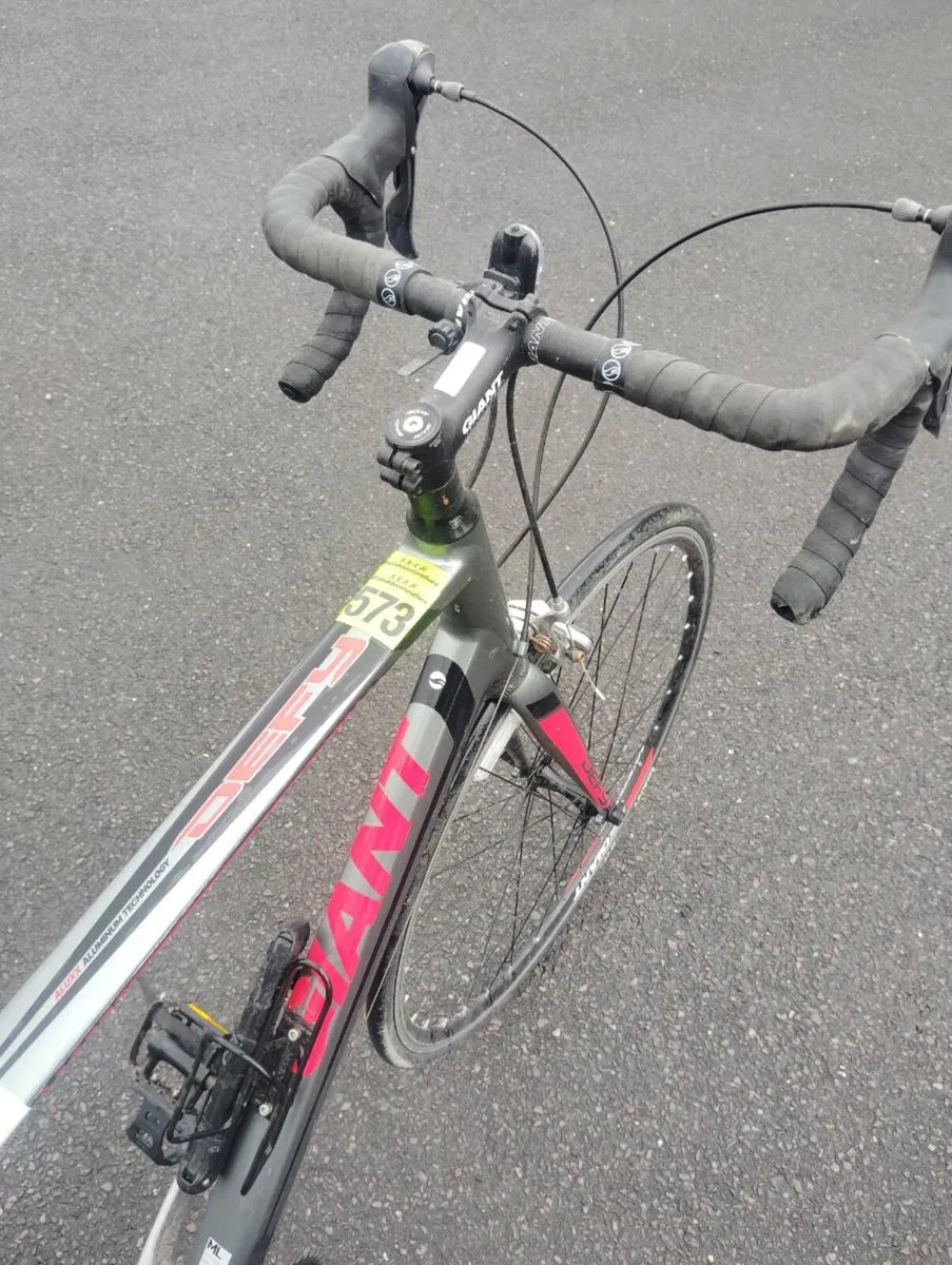 Giant racer - Image 4