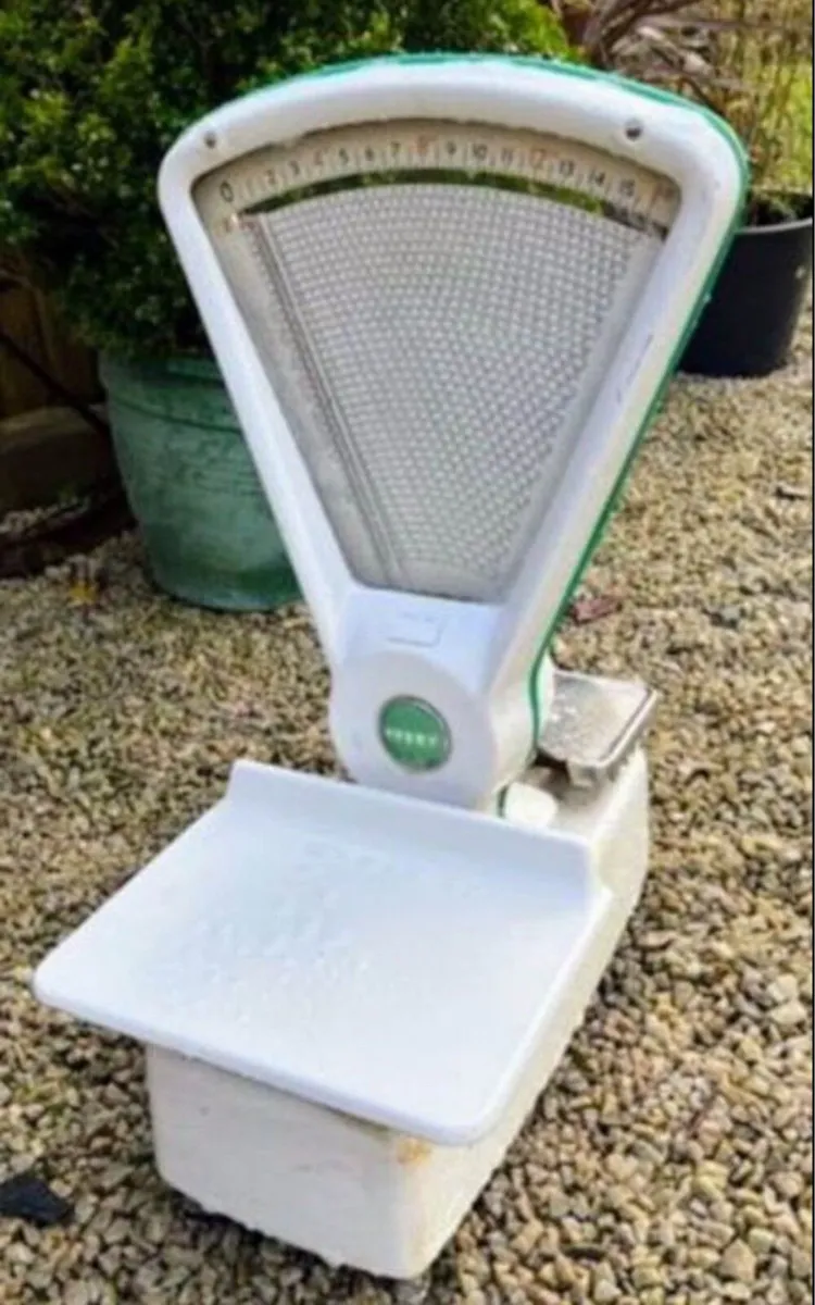 Avery Scales