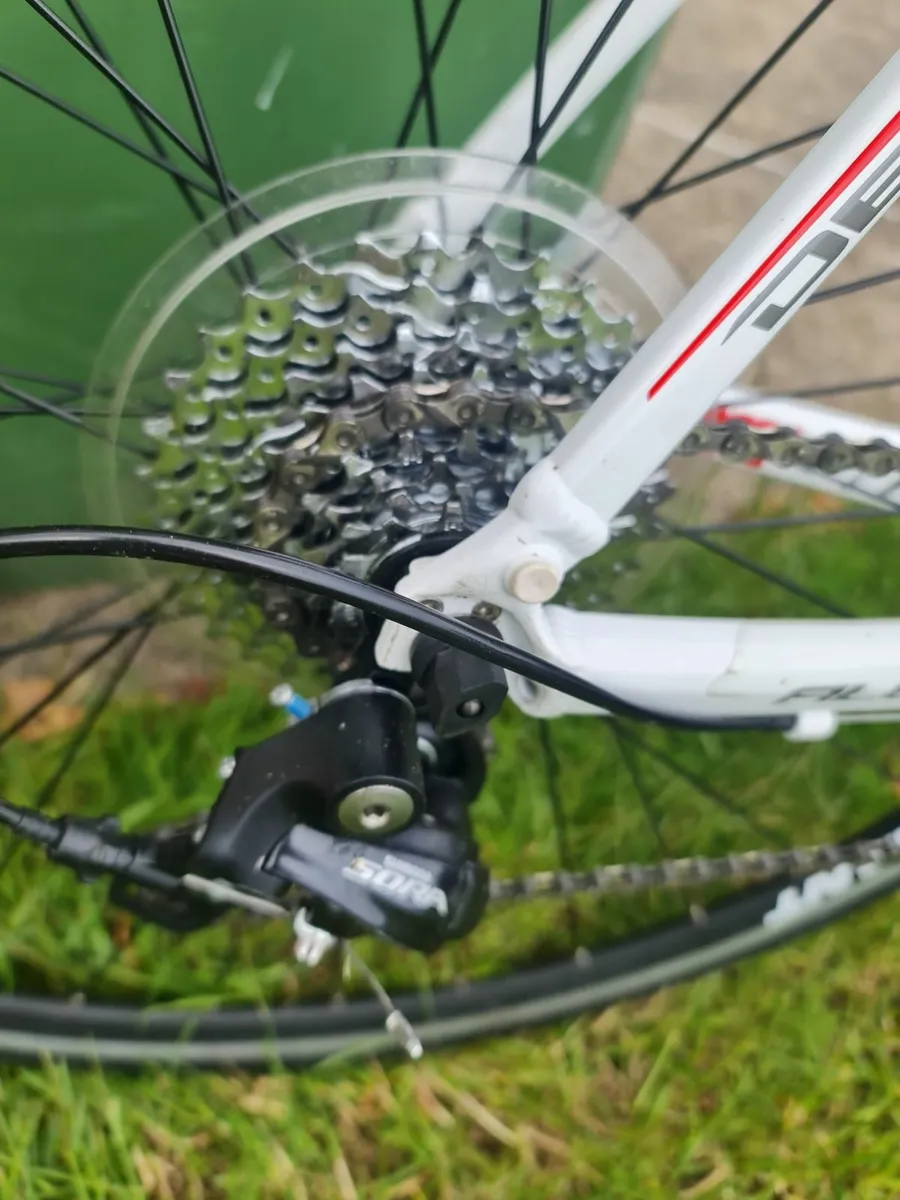 Giant Racer - Image 1