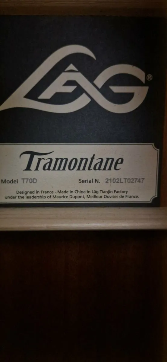 Guitar - Image 3
