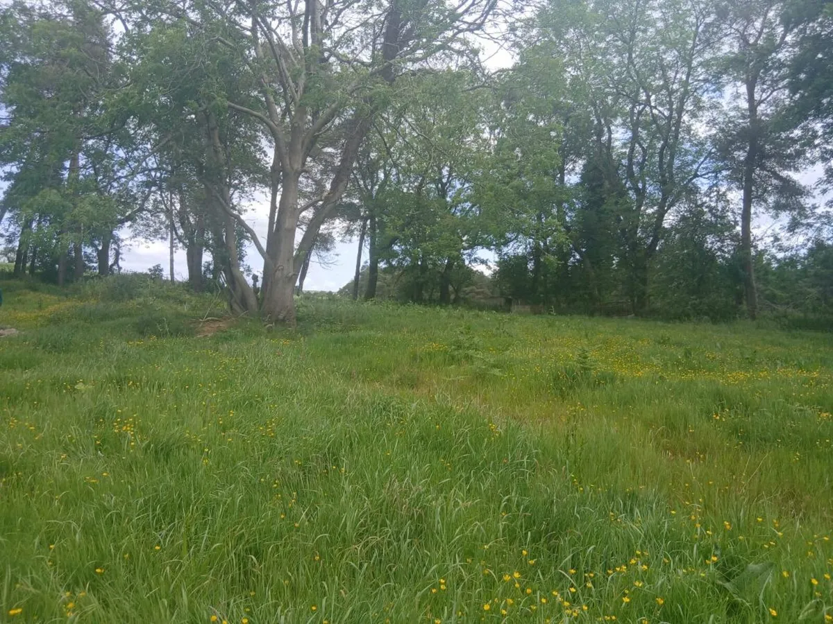 Site for sale - Image 2