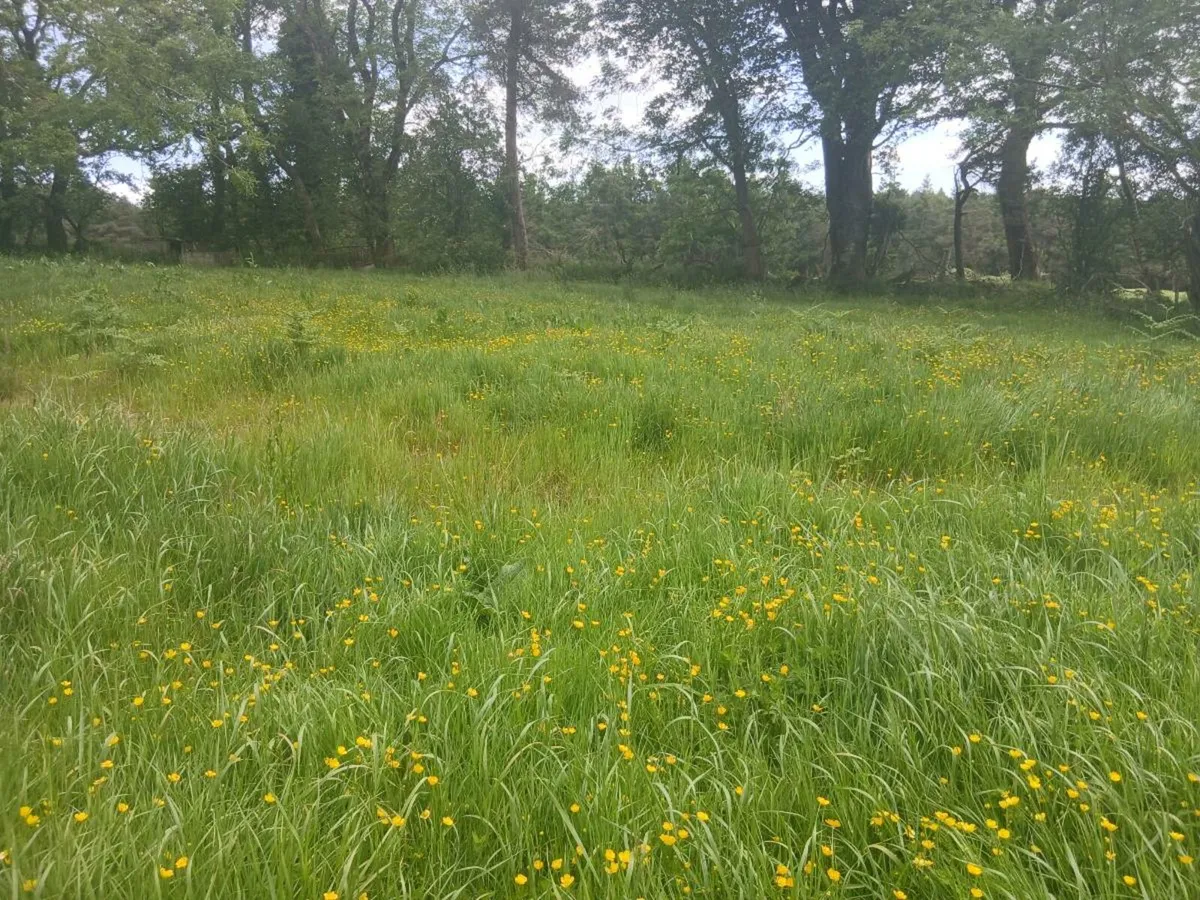 Site for sale - Image 3