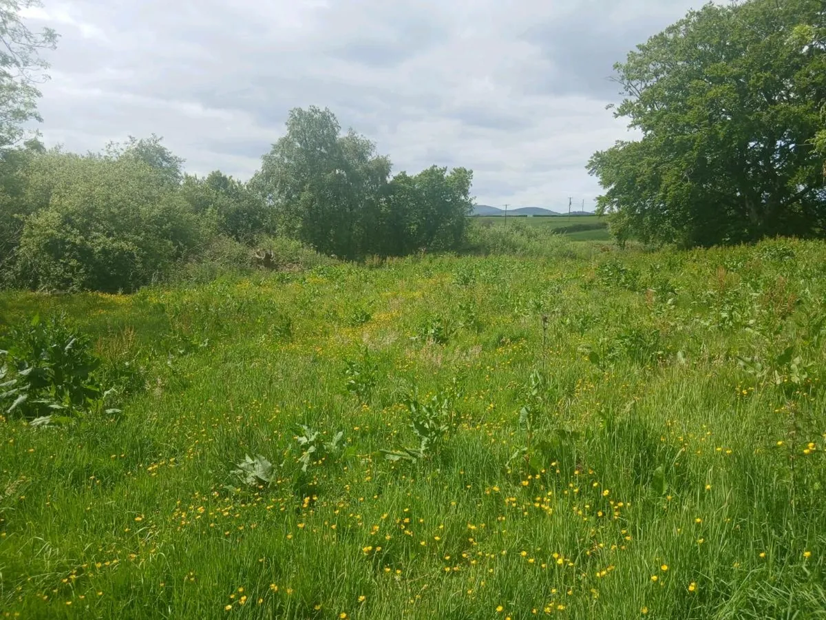Site for sale - Image 4