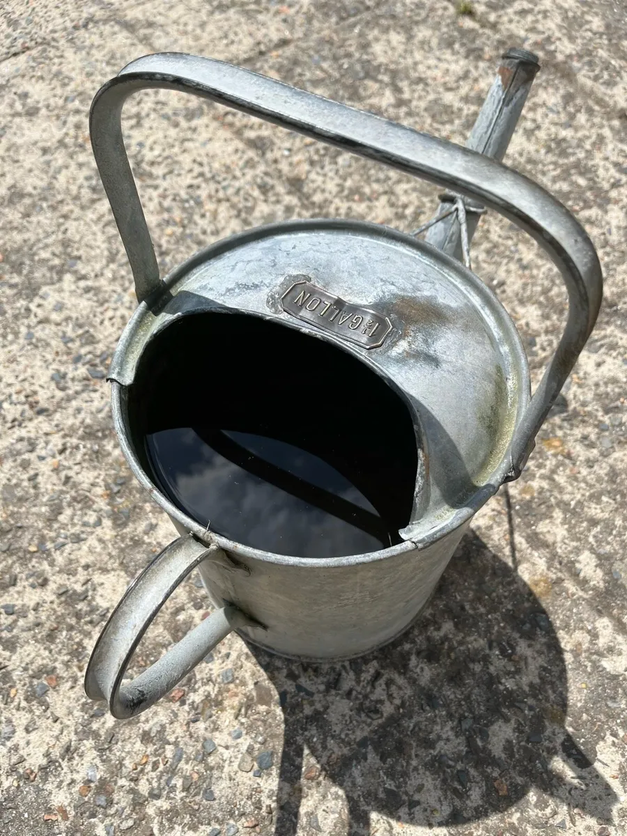 Galvanised Watering Can - Image 1