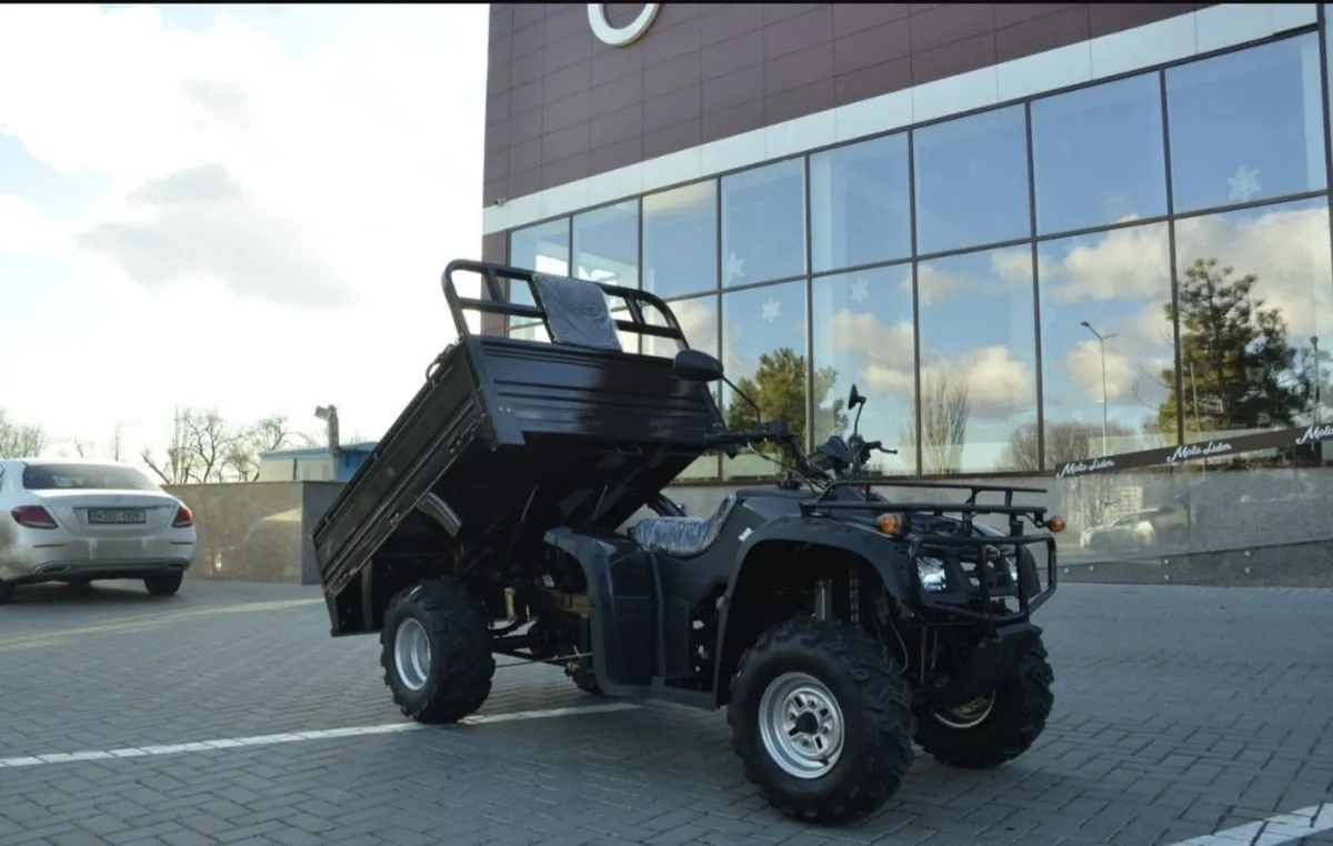 Bashan quad 300 cc - Image 3