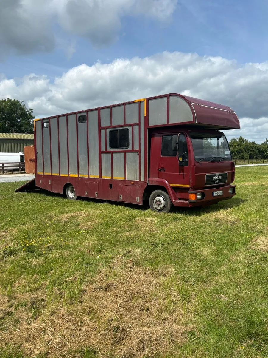 1999 MAN Horse truck 5 stall Day living Tax&Doe - Image 1