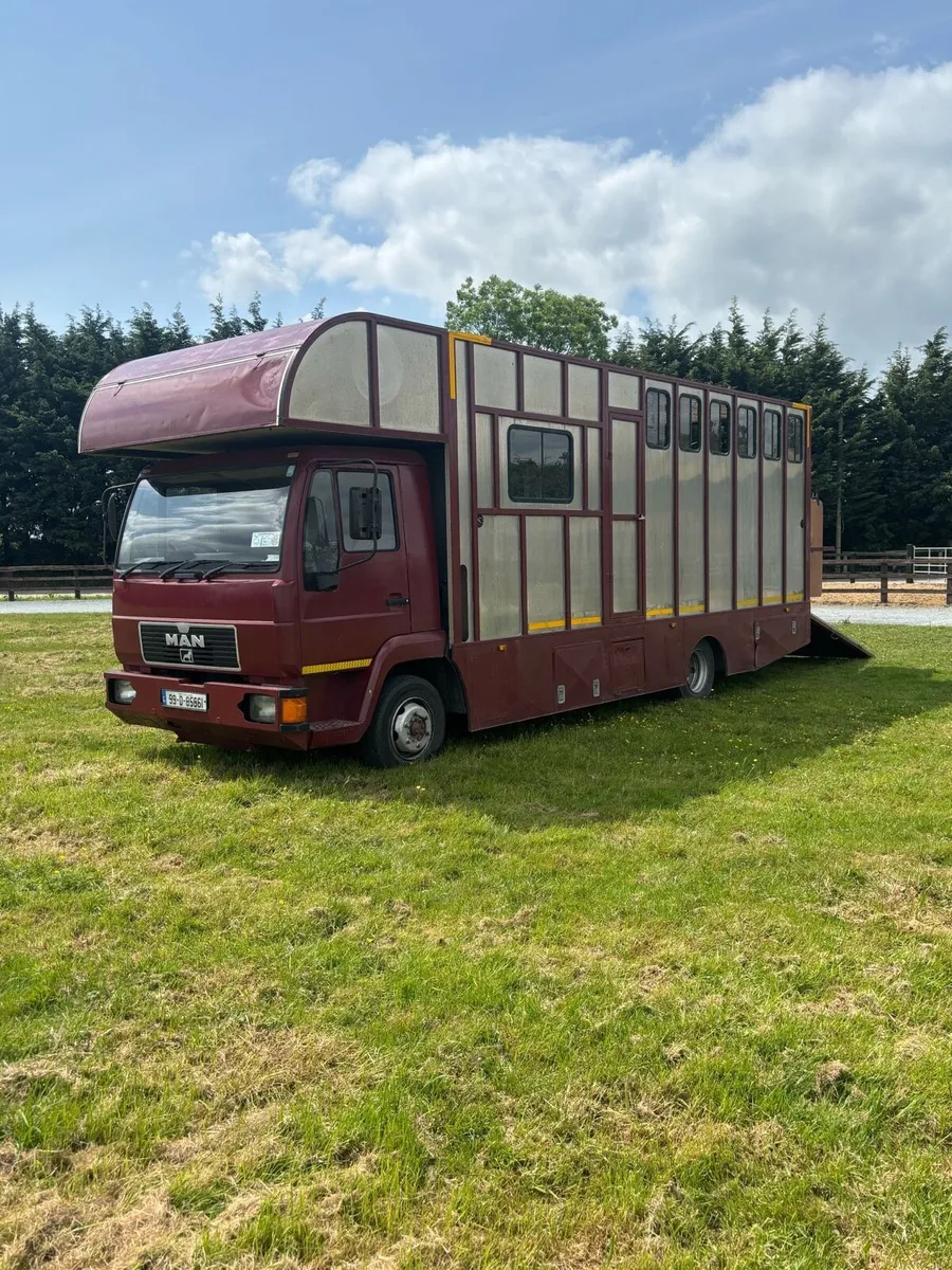 1999 MAN Horse truck 5 stall Day living Tax&Doe - Image 2