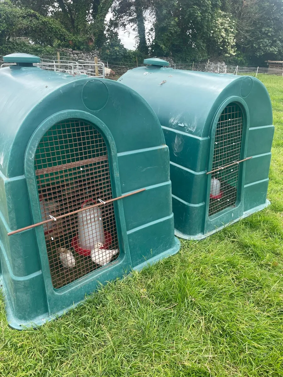 JFC calf hutches - Image 3