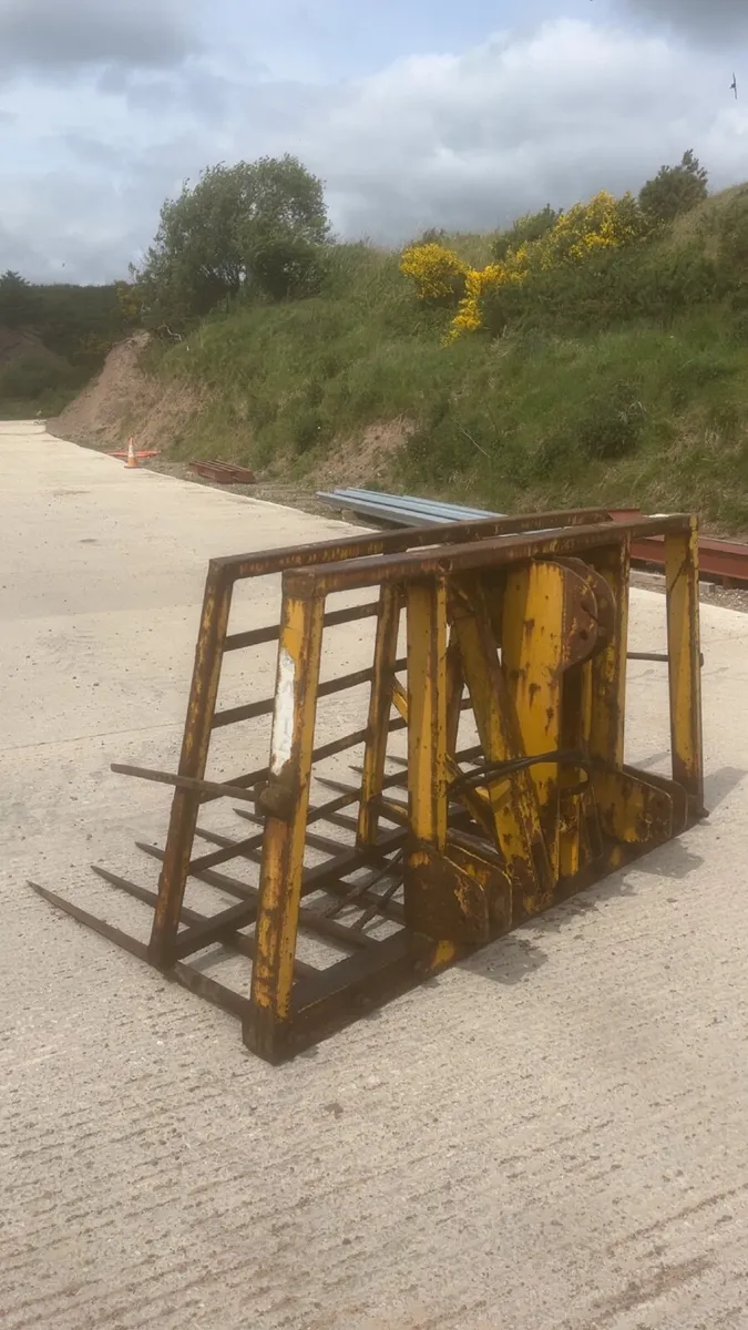 Push of buckrake - Image 1
